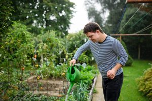 Image of a man in a striped top watering plants with a watering can
